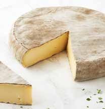 Saint-Nectaire fermier AOP